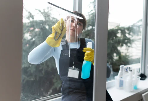 Nettoyage de vitres intérieures et extérieures à la Faye